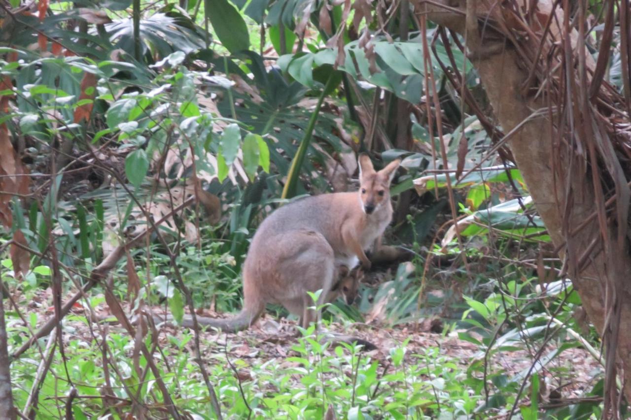 Keillor Lodge Maleny Eksteriør bilde